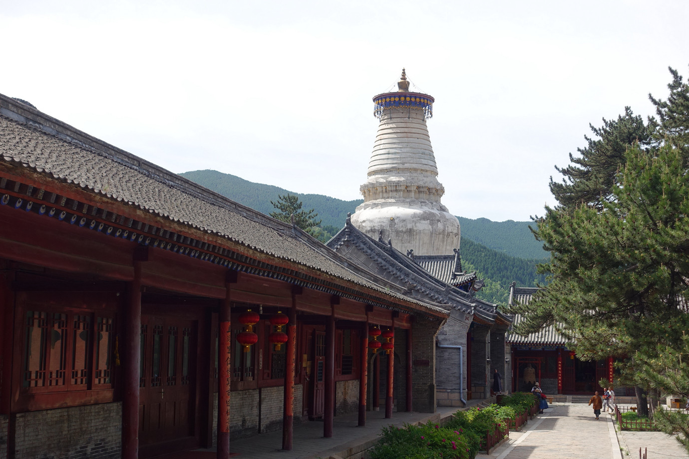 山西忻州-五台山大顯通寺